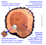 Captura de pantalla 2024-01-14 164644